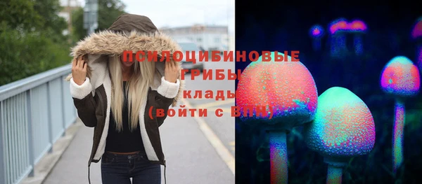 скорость Няндома