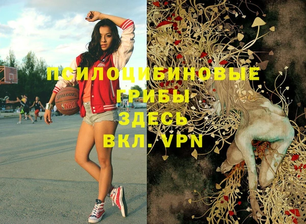 скорость Няндома