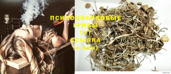 скорость Няндома