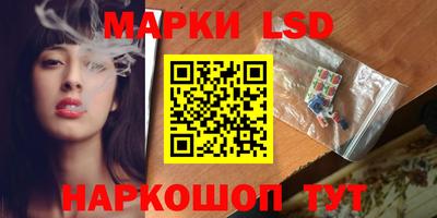 дмт Кандалакша