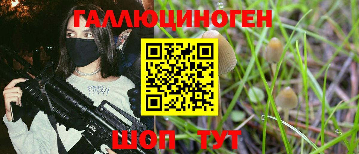 Галлюциногенные грибы MAGIC MUSHROOMS  где продают наркотики  Ливны 